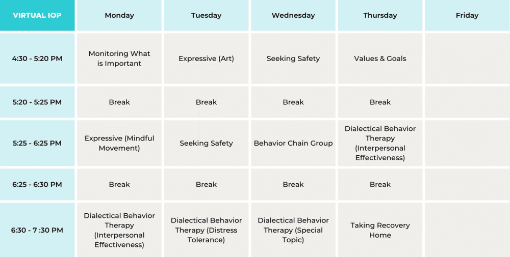 Virtual IOP Program Sample Schedule | Clarity Clinic - Chicago & Illinois